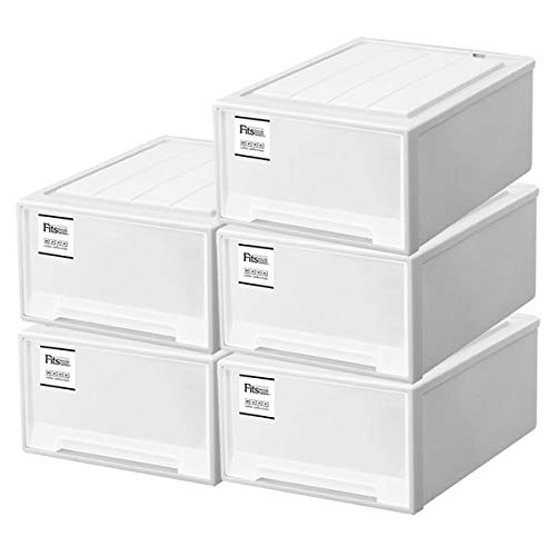 Amazon｜天馬 フィッツケース モノ クローゼット 幅39×奥行53×高さ23cm